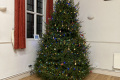 Christmas-Tree-2