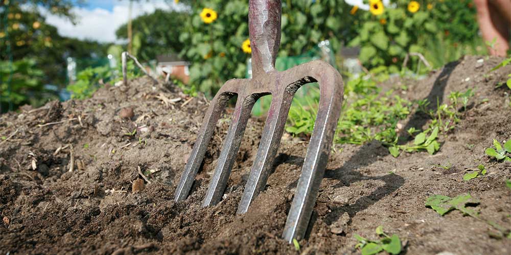 fork in ground image